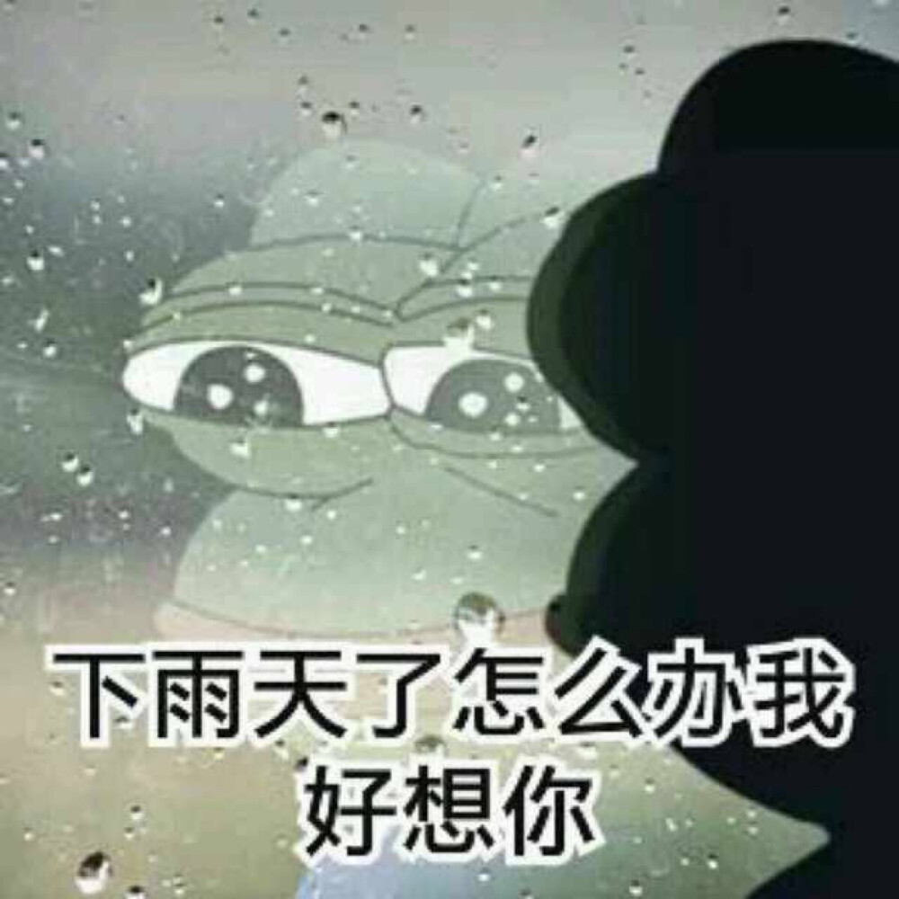 微信下雨表情包，網(wǎng)絡(luò)文化現(xiàn)象的深度探析