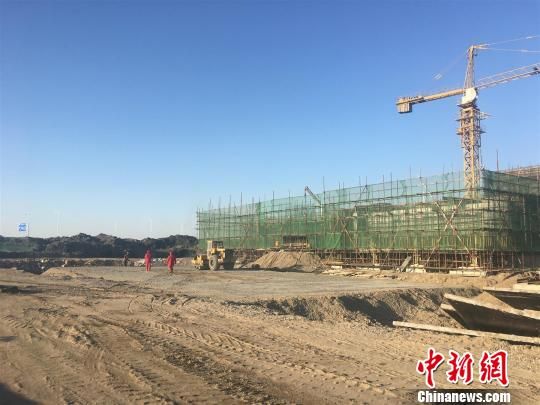 唐山豐南港最新動(dòng)態(tài)，港口邊的溫情故事