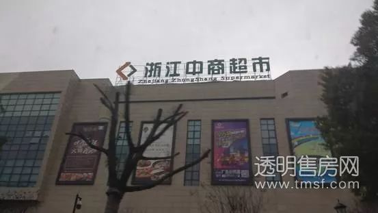 蕭山義橋最新招聘大揭秘，職位信息全面更新????