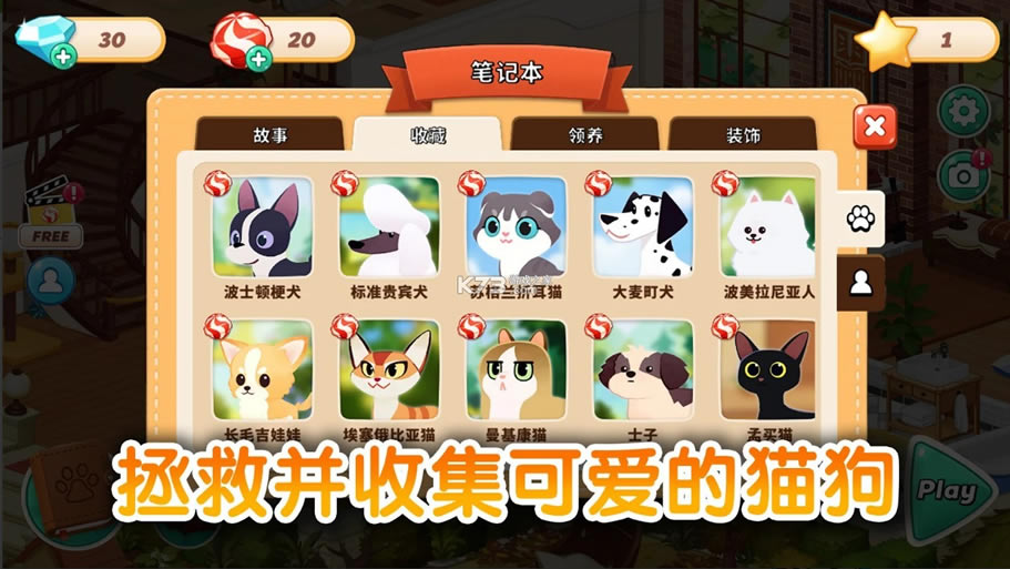 哈啰萌寵開心屋，探索寵物世界的最新樂園